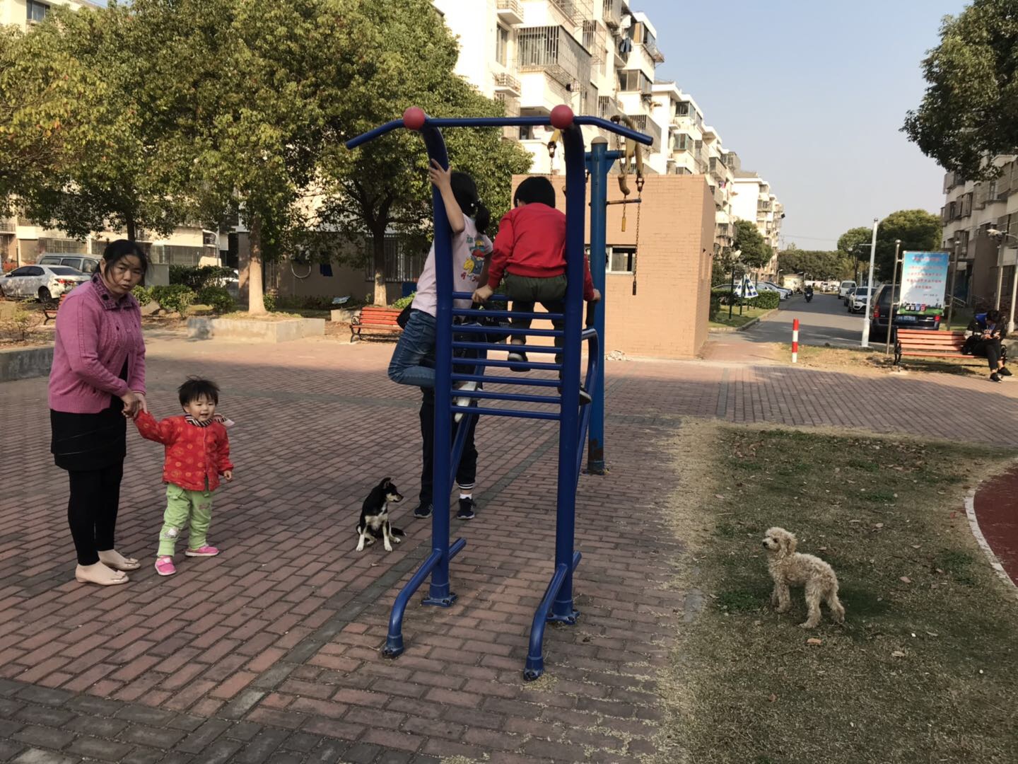 其 它