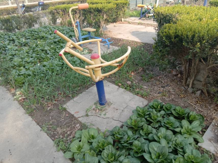 其 它