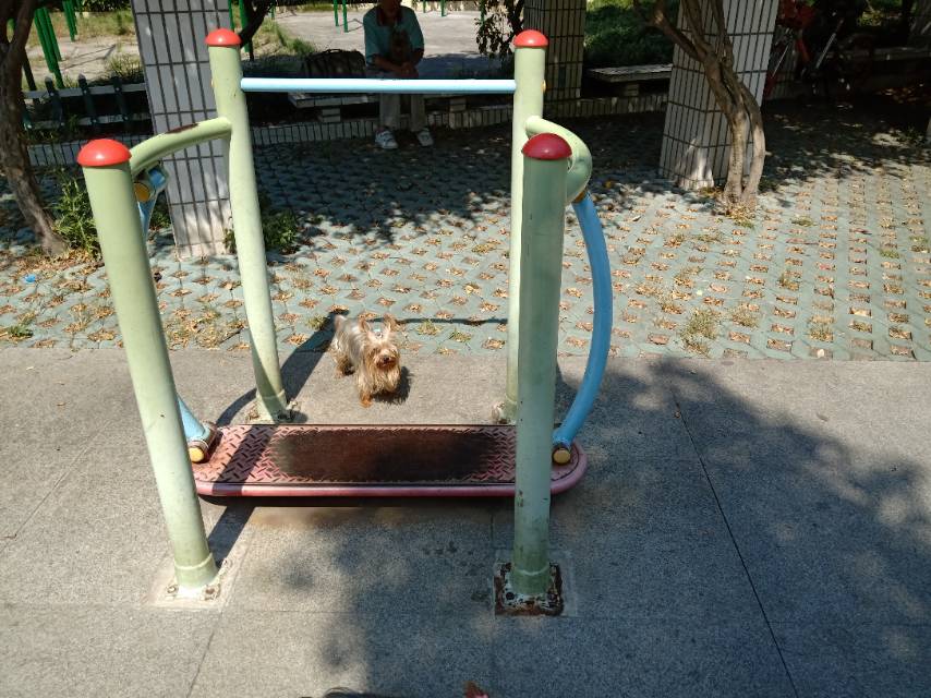 其它