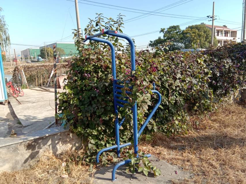 其 它