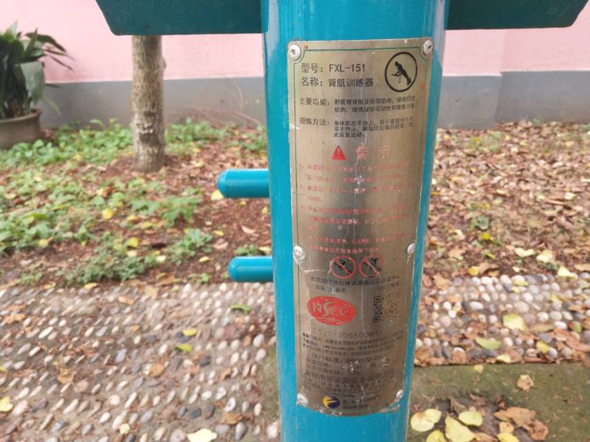 背肌训练器