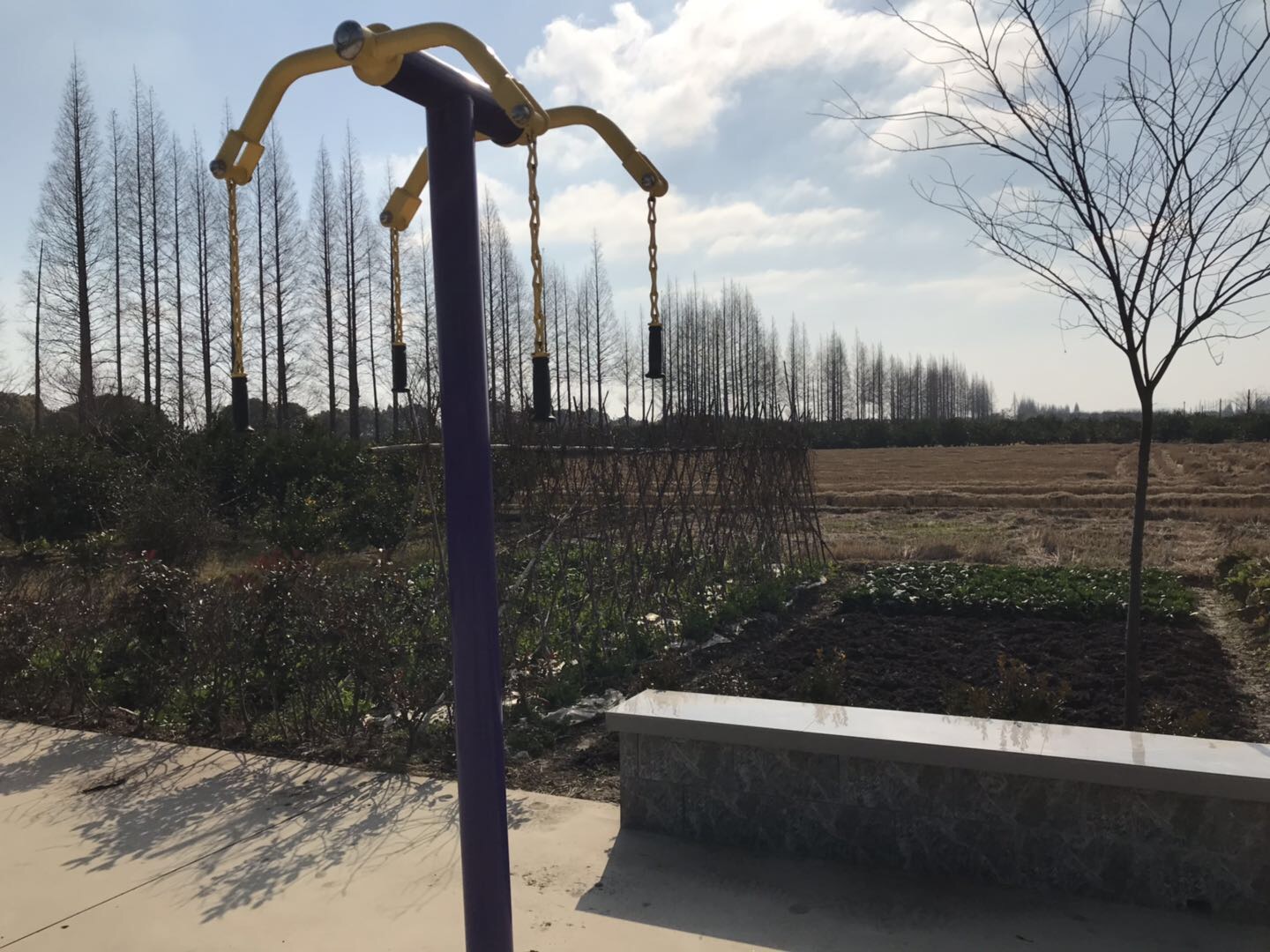 其 它