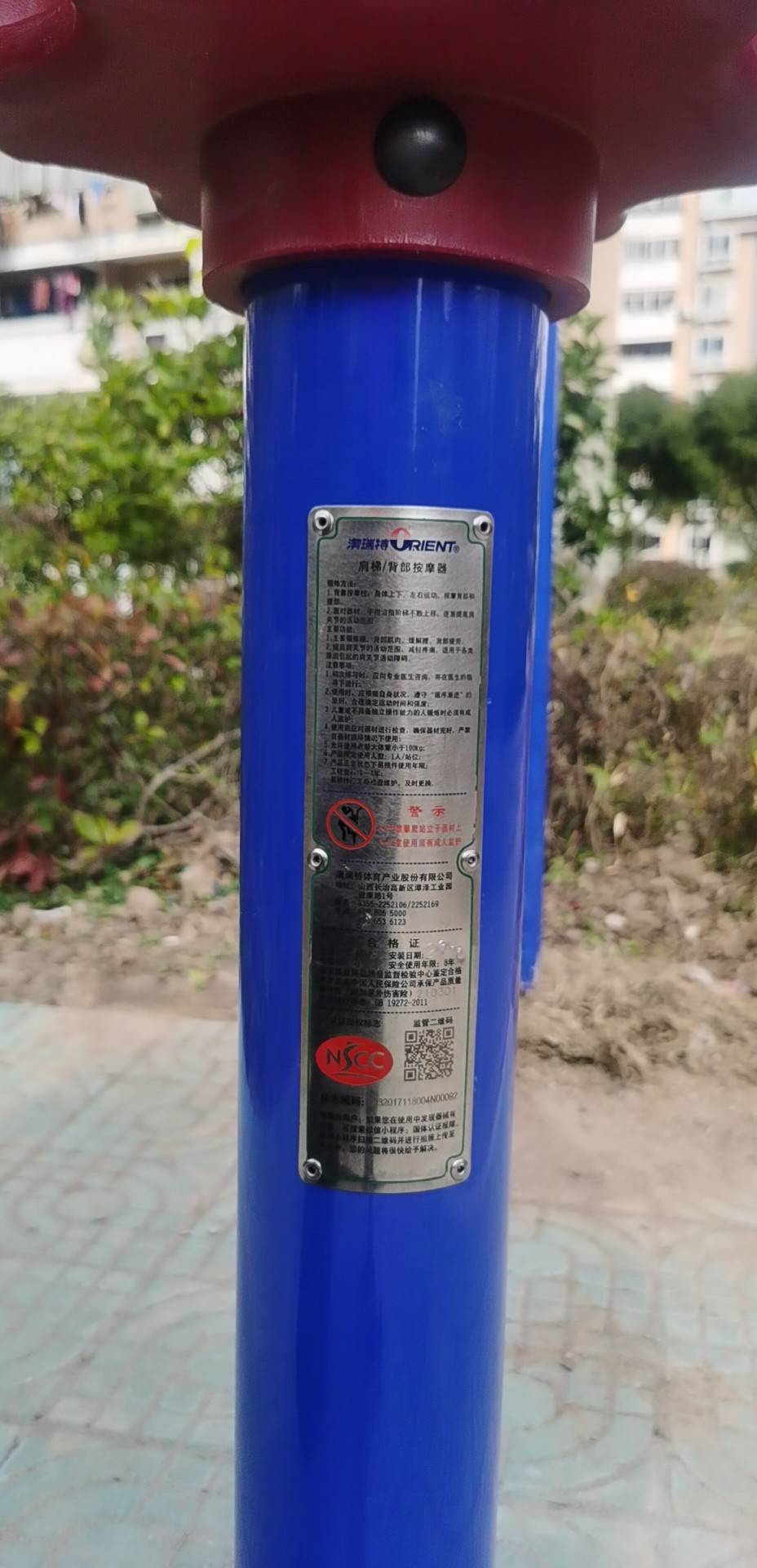 背肌训练器