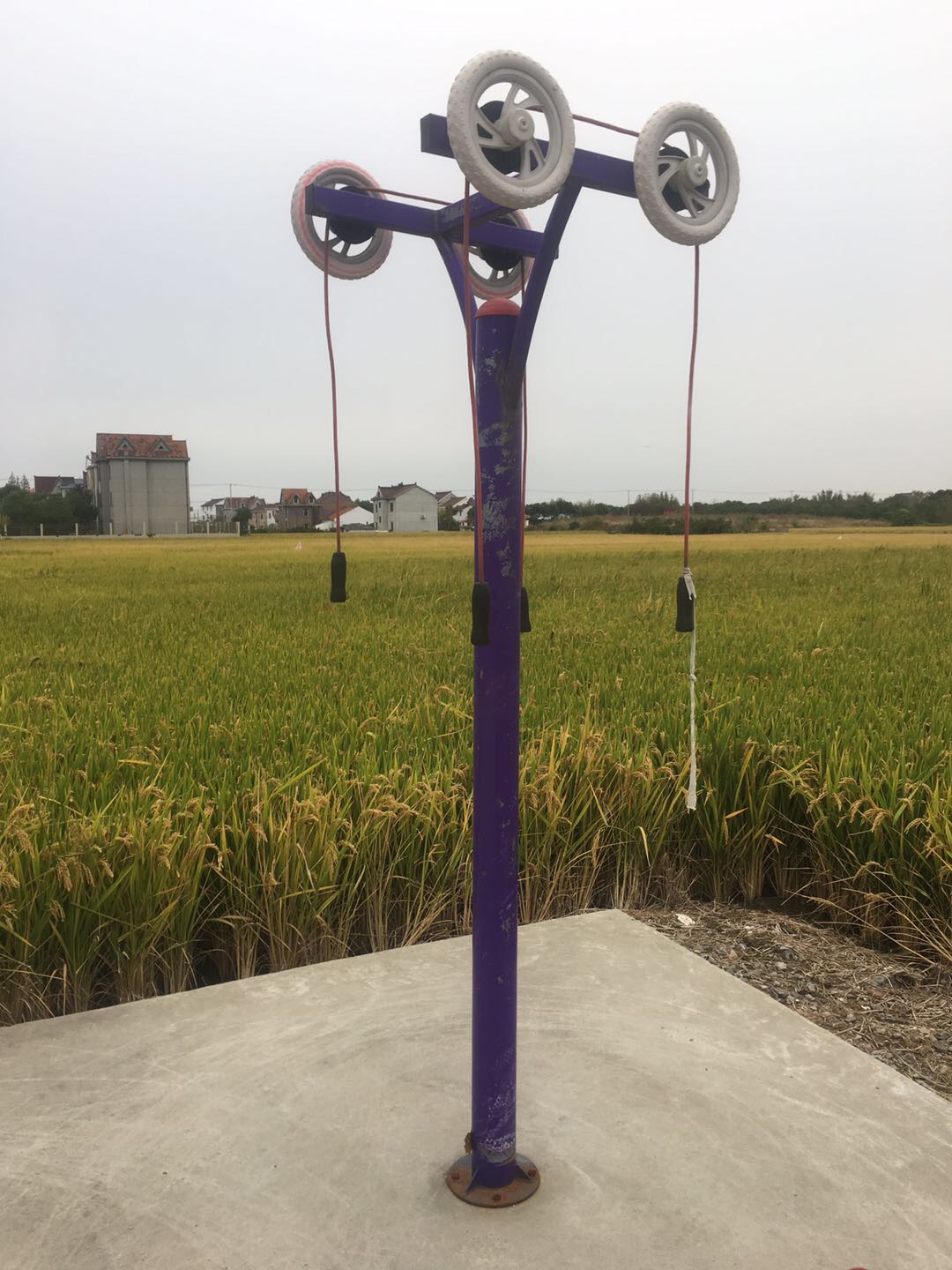 其 它