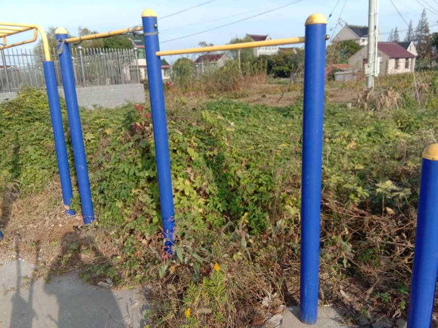 其 它